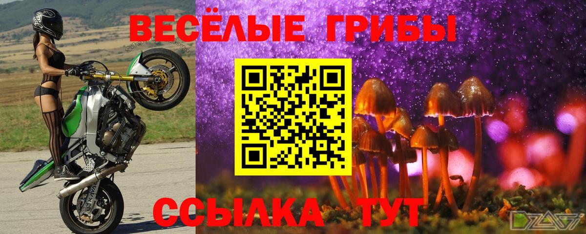 Псилоцибиновые грибы Magic Shrooms Люберцы
